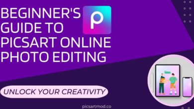 Beginner's Guide to PicsArt Online Photo Editing